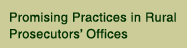 Promising Practices in Rural Prosecutors' Offices