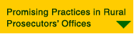 Promising Practices in Rural Prosecutors' Offices