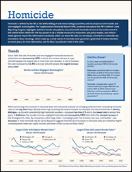 Homicide fact sheet thumbnail