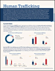 Human Trafficking fact sheet thumbnail