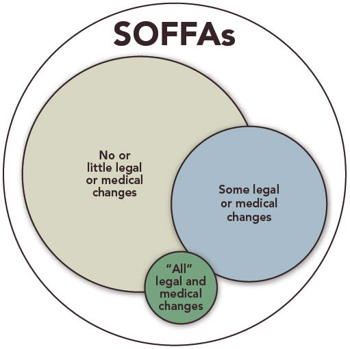 Exhibit 1 illustrates the transgender community: SOFFAs, individuals with no or little legal or medical changes, those with some legal or medical changes, and those with all legal and medical changes.