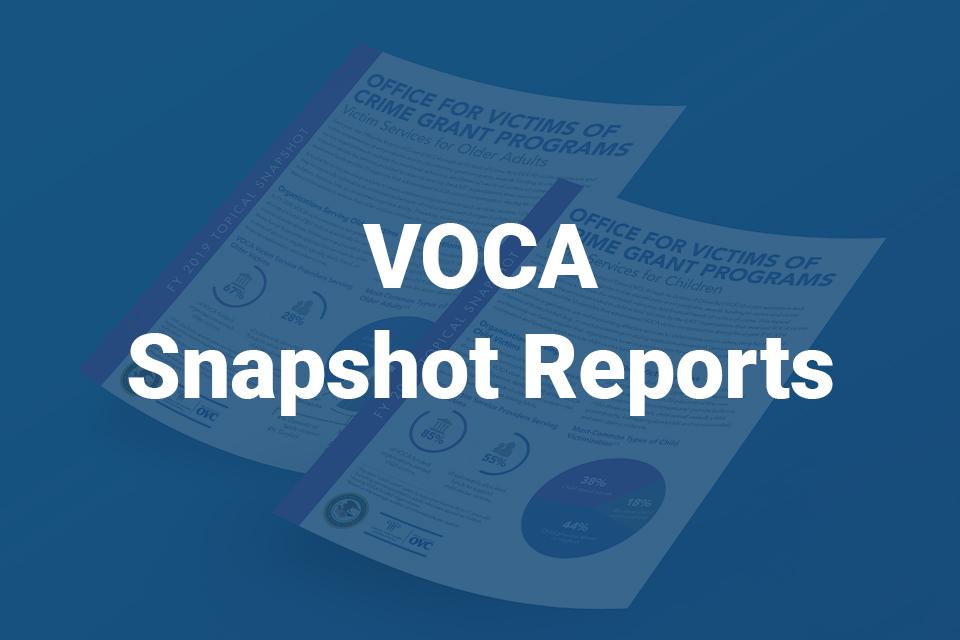 VOCA Snapshot Reports