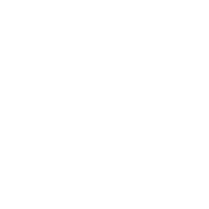 T-VSTTA white floral logo