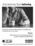 Financial Fraud Poster