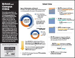 School and Campus Crime