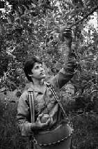 Photograph of a seasonal farmworker. OVC has targeted funds at improving services for immigrant populations, including migrant and seasonal farmworkers.