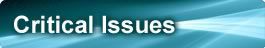Critical Issues